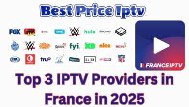 Top 3 IPTV Providers in France in 2025